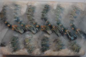 Fresh Water Head Less Shall On Block Shrimps