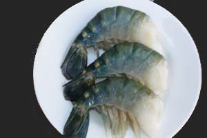 Fresh Water Head Less Shall On I.Q.F Shrimps