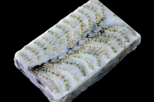 Black Tiger Head Less Shall On Block Frozen Shrimps