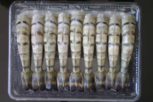 Black Tiger Head Less Shall On Easy Peel I.Q.F Shrimps