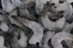 Black Tiger Peeled Deveined Tail On I.Q.F Shrimps